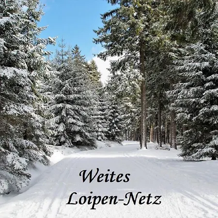 Helle Am Waldrand - Mit Balkon, Pool & Sauna Apartment *