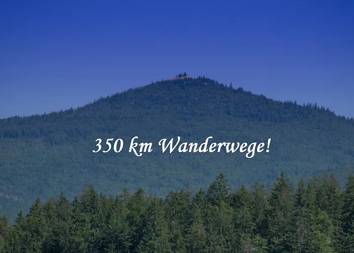 Helle Am Waldrand - Mit Balkon, Pool & Sauna 아파트 *