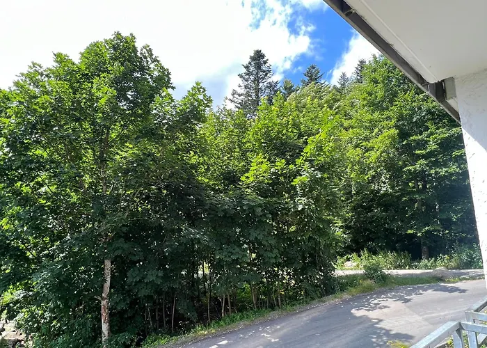 Helle Am Waldrand - Mit Balkon, Pool & Sauna